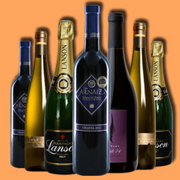 在线轰炸电话网页版免费测试